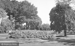 Blenheim Gardens c.1950, Minehead