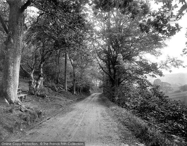 Photo of Minehead, Hopcott Lane 1919