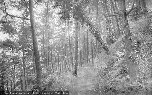Photo of Minehead, North Walk 1919