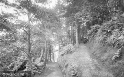 North Walk 1919, Minehead