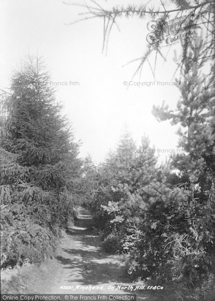 Photo of Minehead, On North Hill 1900