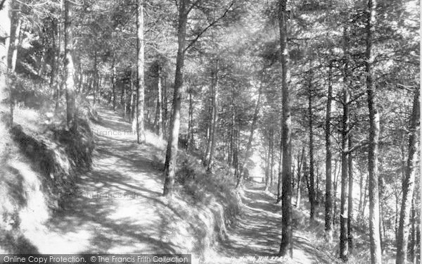 Photo of Minehead, Pine Walk, North Hill 1900