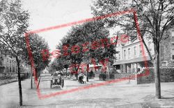 The Avenue c.1905, Minehead