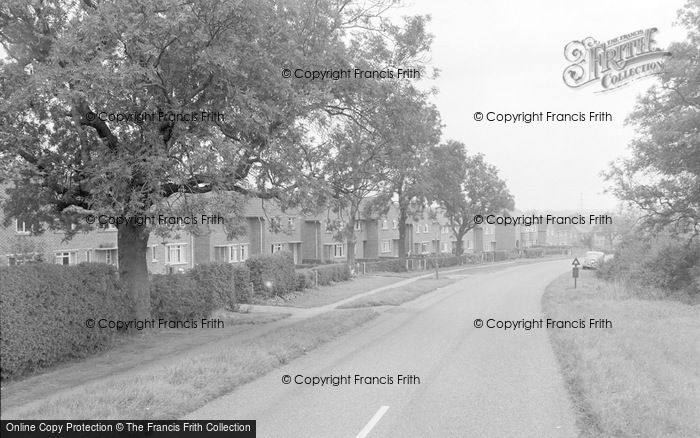 Photo of Misterton, Fox Covert Rise 1960