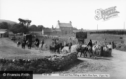 Horse And Pony Riding At Melin Rhos Farm c.1965, Moelfre