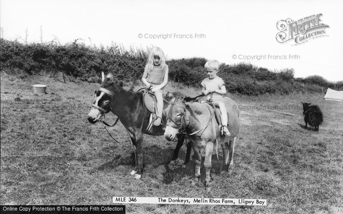 Photo of Moelfre, The Donkeys, Melin Rhos Farm c.1965