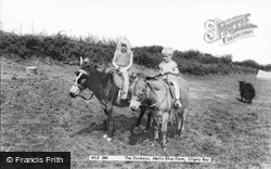 The Donkeys, Melin Rhos Farm c.1965, Moelfre