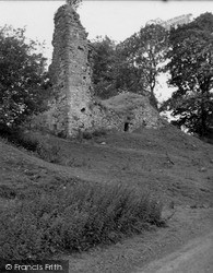 Lochwood Castle 1952, Moffat
