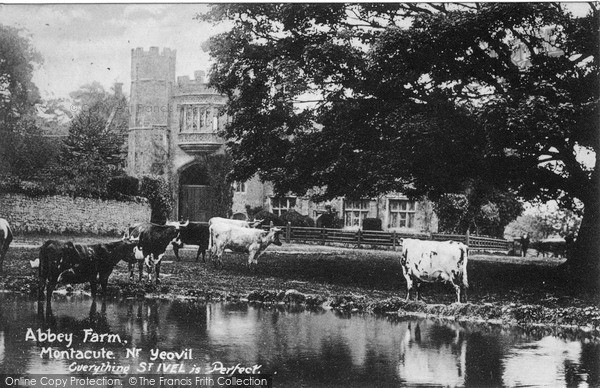 Photo of Montacute, Abbey Farm c.1900