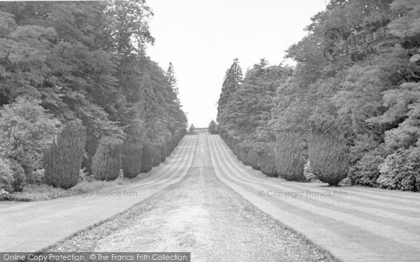 Photo of Montacute, House, The Drive West c.1960