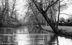 Morden, the River Wandle, Ravensbury Park c1960