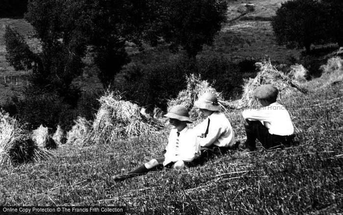 Photo of Moretonhampstead, Harvest Time 1918
