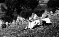 Harvest Time 1918, Moretonhampstead