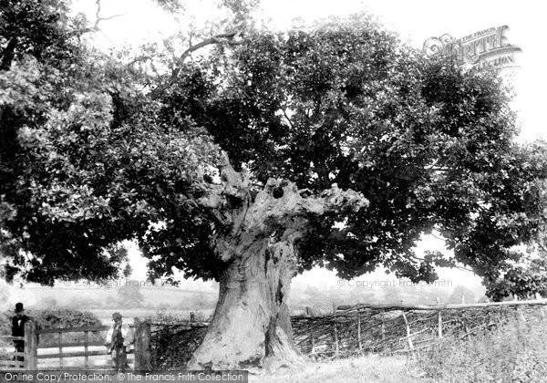 Photo of Mortimer's Cross, Battle Oak 1906