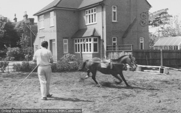 Photo of Mottingham, Riding Stables c.1960