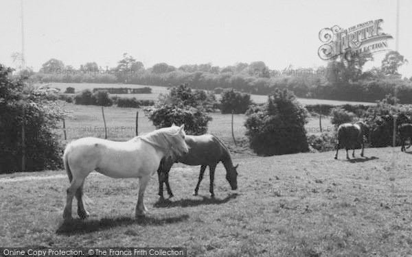Photo of Mottingham, Riding Stables c.1960