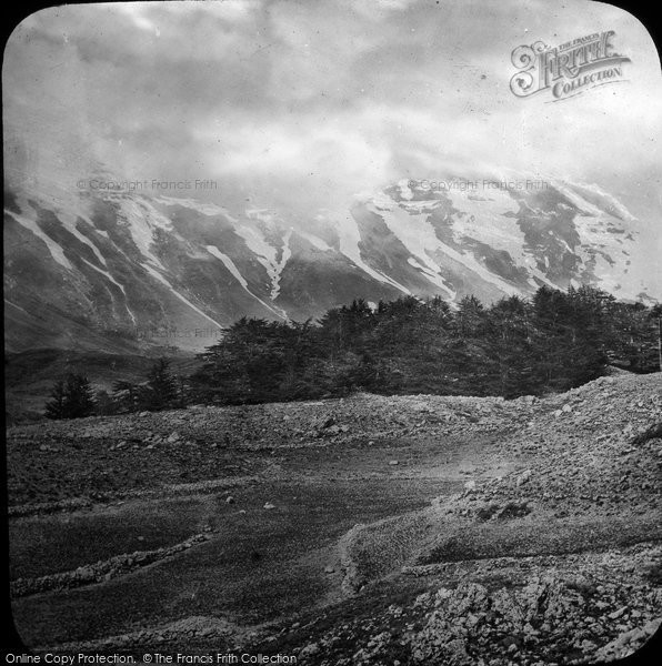 Photo of Mount Lebanon, Cedars Of Lebanon c.1867