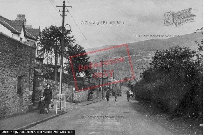 Photo of Mountain Ash, General View c.1955