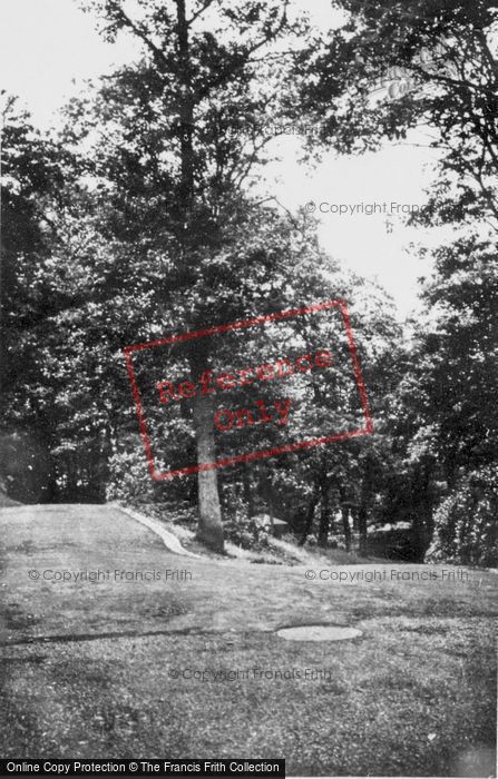 Photo of Mountain Ash, In Victoria Park c.1960