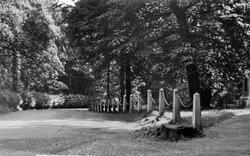 The Road Through Duffryn Woods c.1960, Mountain Ash
