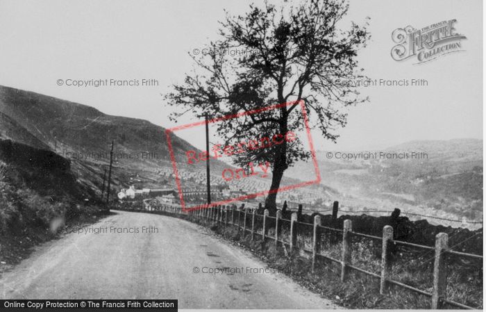 Photo of Mountain Ash, Valley From Mountain c.1955