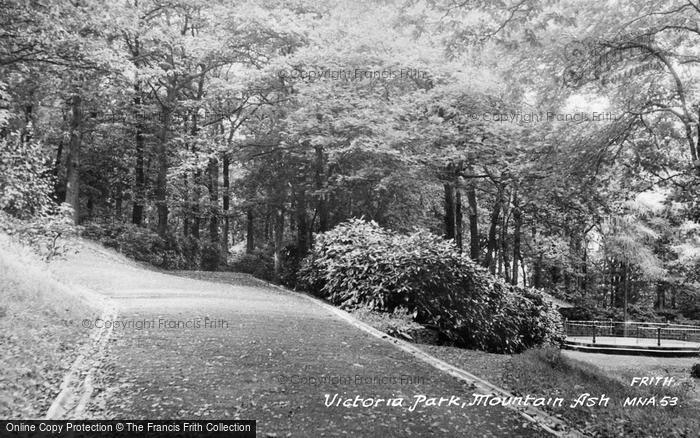 Photo of Mountain Ash, Victoria Park c.1960