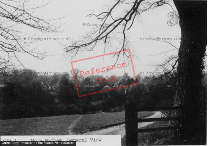 Photo of Much Hadham, General View c.1955