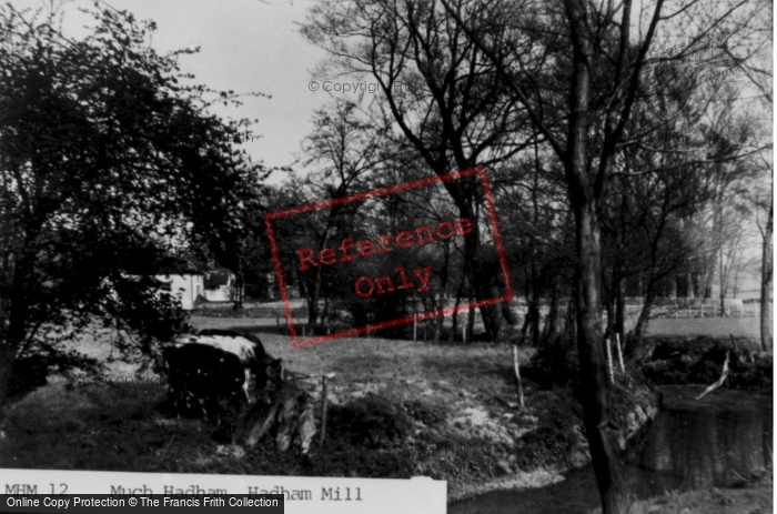Photo of Much Hadham, Hadham Mill c.1955