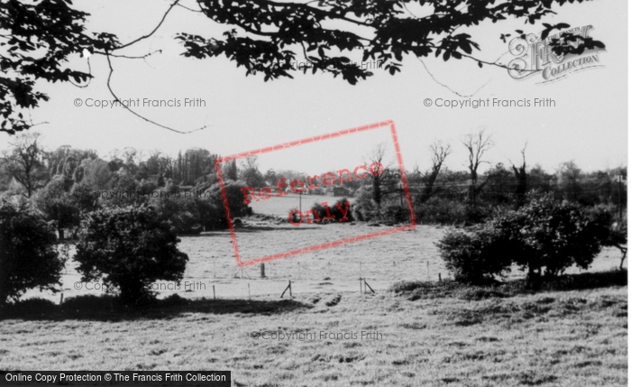 Photo of Much Hadham, The View From Stanstead Hill c.1955