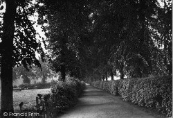 Linden Walk c.1935, Much Wenlock