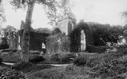 Muckross Abbey photo