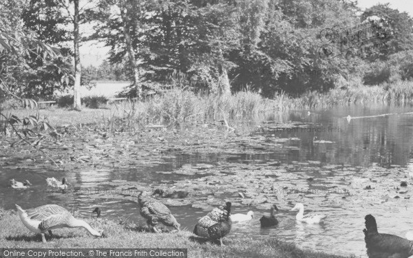 Photo of Musbury, Ashe Pond, Ashe House c.1965