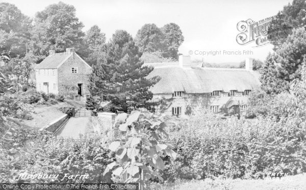 Photo of Musbury, Musbury Farm c.1955