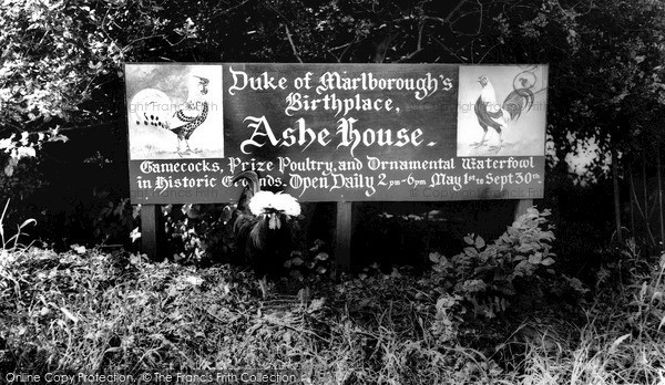 Photo of Musbury, The Entrance To Ashe House c.1960
