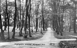 Highgate Woods c.1965, Muswell Hill