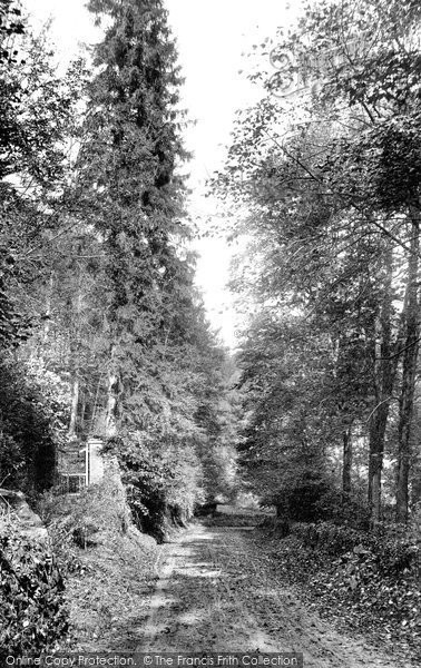Photo of Nailsworth, Holcombe Corner 1904