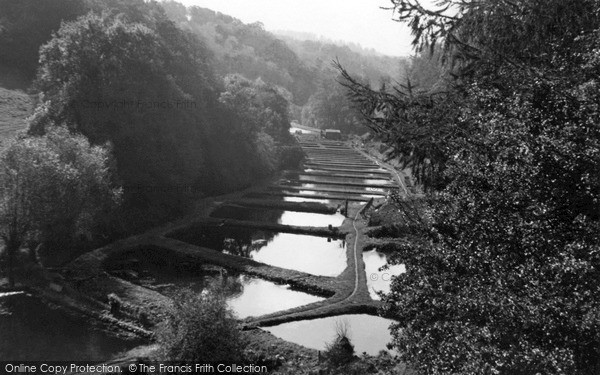 Photo of Nailsworth, The Trout Hatcheries c.1955