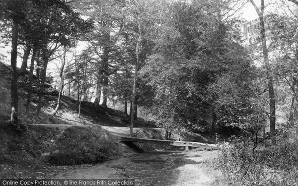 Photo of Neath, In Gnoll Woods 1898