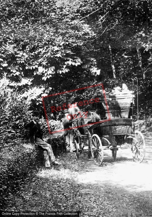 Photo of Nefyn, Carriage On The Road To Bodfean 1894