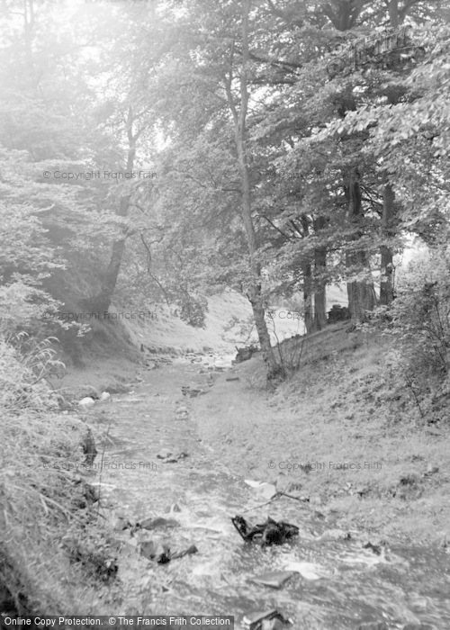 Photo of Nelson, Catlow Bottoms 1957