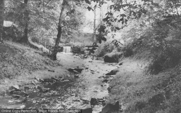 Photo of Nelson, Catlow Bottoms 1957