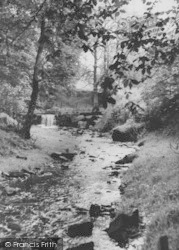 Catlow Bottoms c.1955, Nelson