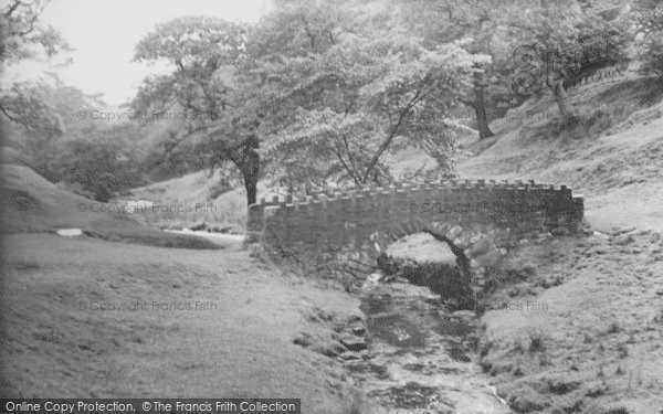 Photo of Nelson, The Bridge, Catlow Bottoms 1957
