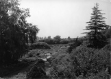 The Gardens c.1939, Ness