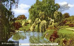 Weeping Willow, Ness Gardens c.1939, Ness
