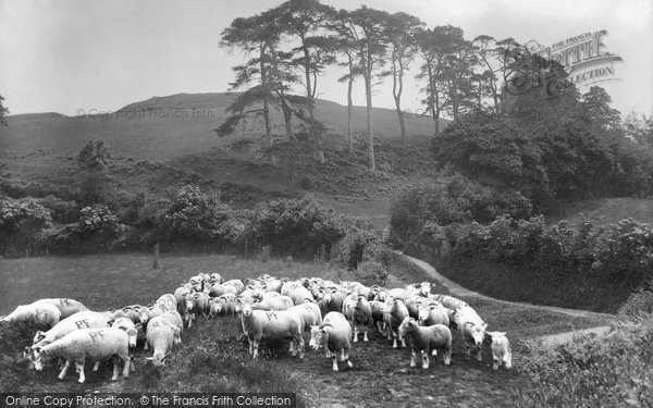 Photo of Nether Stowey, The Mount 1929