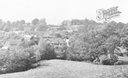 General View c.1955, Netherbury