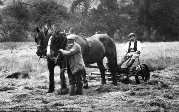 Photo of Netherbury, Haymaking  1912