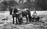 Haymaking  1912, Netherbury