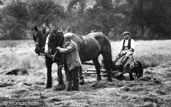 Haymaking  1912, Netherbury